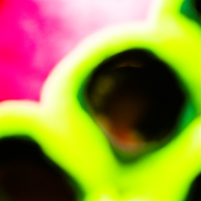 Kirk Sora - Poison Ivy 7 - 2018 - Analoge Fotografie als Pigmentdruck auf Baumwollpapier, kaschiert auf Aludibond - 80 x 80 cm