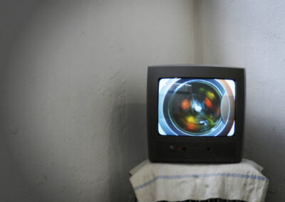 Katina (Tina) Rank – Wash your fruits – 2020 – Videoloop, RöhrenTV, Wäschekorb, Lappen – ca. 50 x 60 x 20 cm