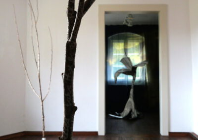 Melina Braß – A girl’s forest – 2024 – Installation