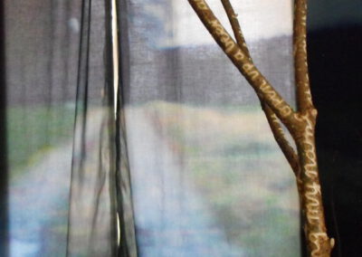 Melina Braß – A girl’s forest – 2024 – Installation – Ausstellungsansicht Robert Sterl Haus