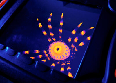 Theresa Haupt - Raumfänger - 2025 - Installation, Kreatur (Detail)