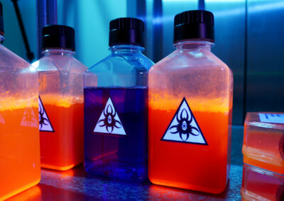 Theresa Haupt - Raumfänger - 2025 - Installation, Sekret (Detail)