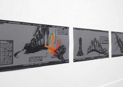 Fabian Vogel - Evolution of the Pinélospondylikisaurus II - Detail - 2024/2025- Chinatusche, Pastell, Aquarell und Marker auf Fine Art Print auf Papier - Ausstellungsansicht, riesau efau Dresden 2025 -Jedes Bild 40 x 69,2 cm